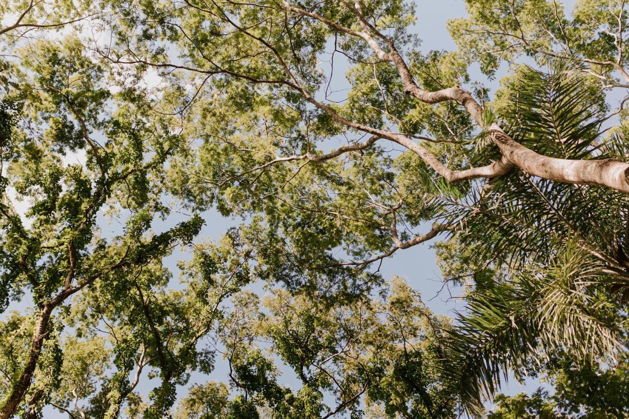Fazenda Hotel Bem Ecologico Planaltina  المظهر الخارجي الصورة